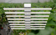 قابل للتعديل شريط LED عشب تنمو ضوء 550W قوة الألومنيوم مادة CE المتوافقة